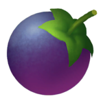 Wepear Berry